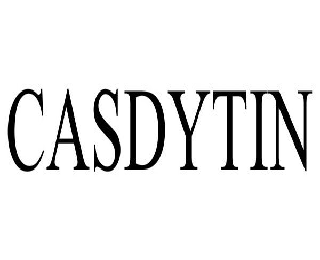 Trademark Logo CASDYTIN