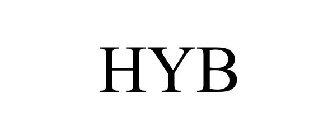  HYB