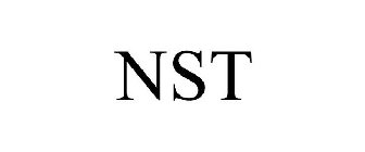 Trademark Logo NST