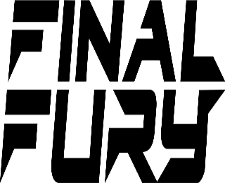  FINAL FURY