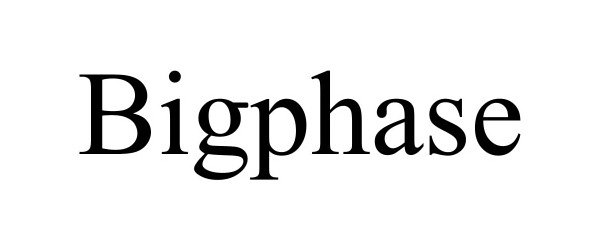  BIGPHASE