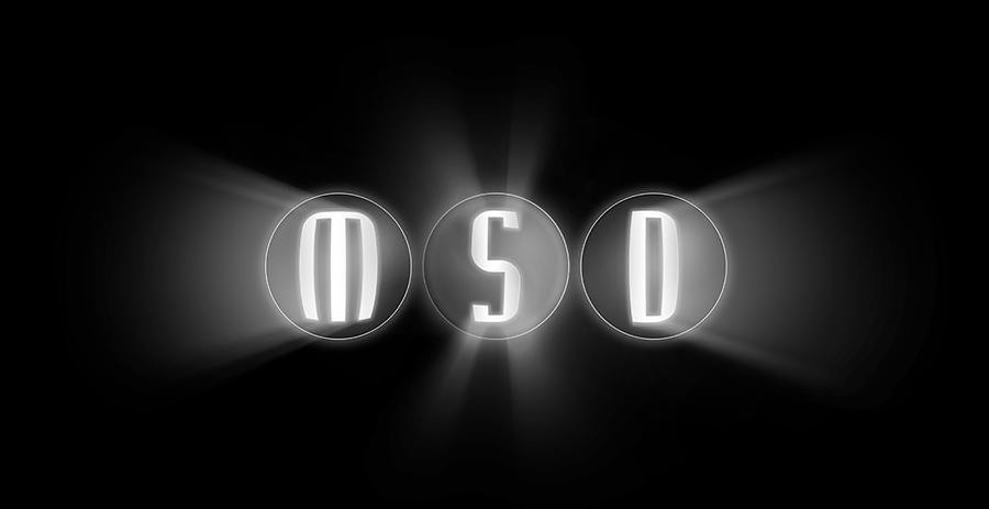 Trademark Logo MSD