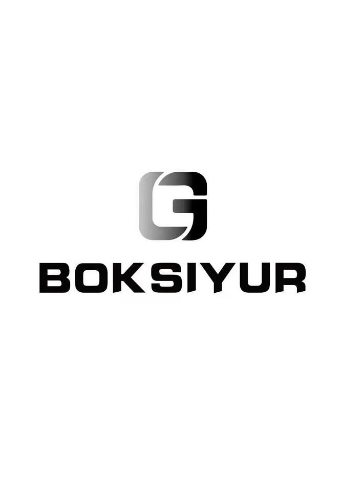 Trademark Logo BOKSIYUR