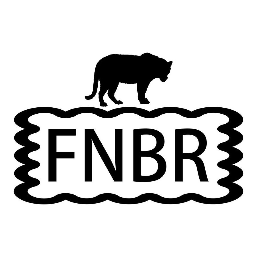 Trademark Logo FNBR