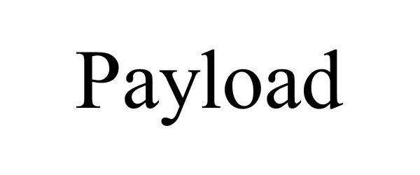 Trademark Logo PAYLOAD