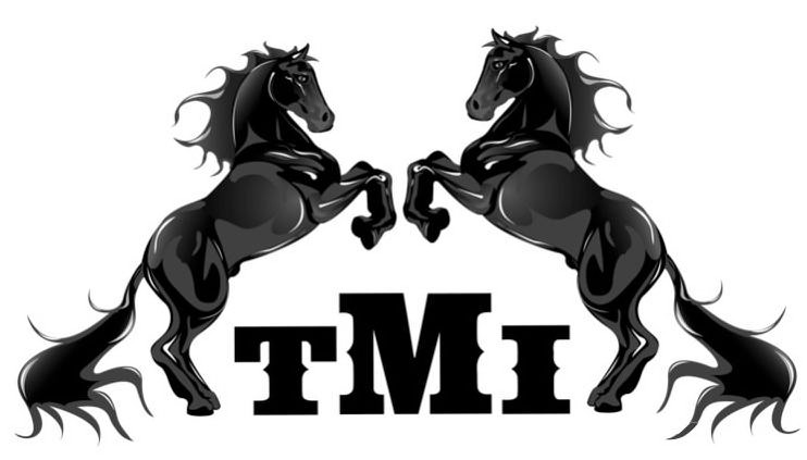 Trademark Logo TMI
