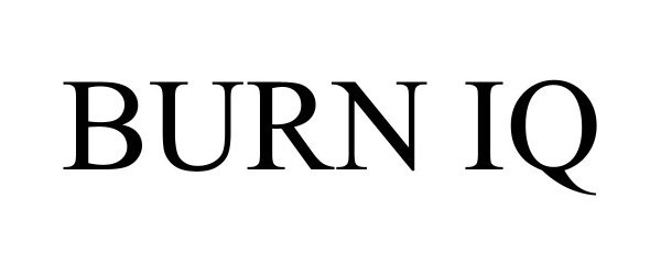 Trademark Logo BURN IQ