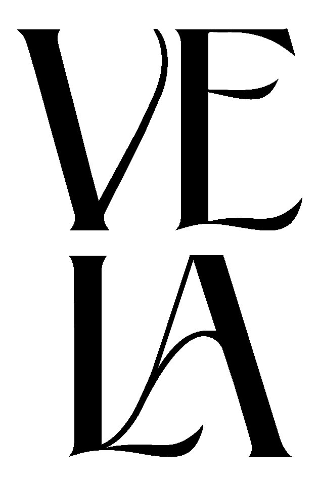 Trademark Logo VELA