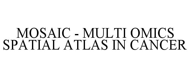  MOSAIC - MULTI OMICS SPATIAL ATLAS IN CANCER