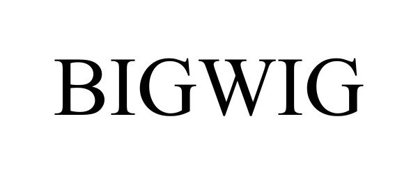 Trademark Logo BIGWIG
