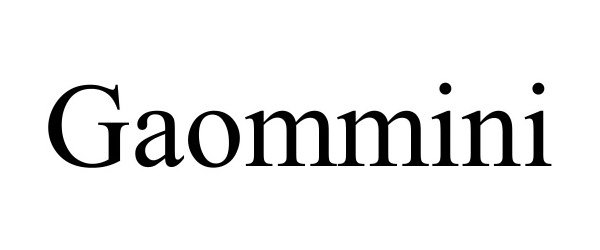  GAOMMINI