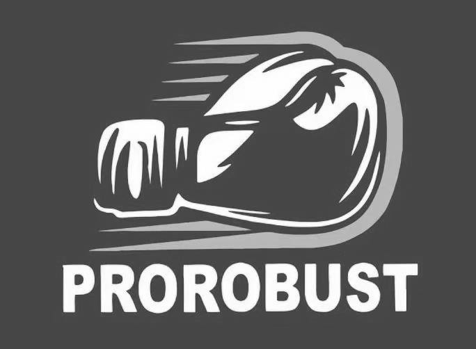 Trademark Logo PROROBUST