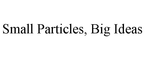  SMALL PARTICLES, BIG IDEAS