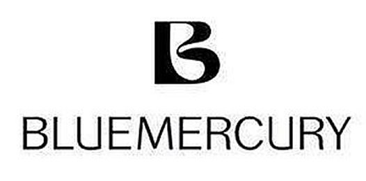 Trademark Logo B BLUEMERCURY