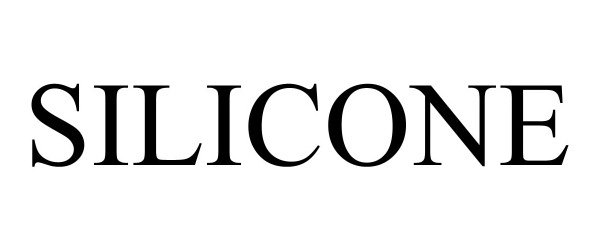 Trademark Logo SILICONE