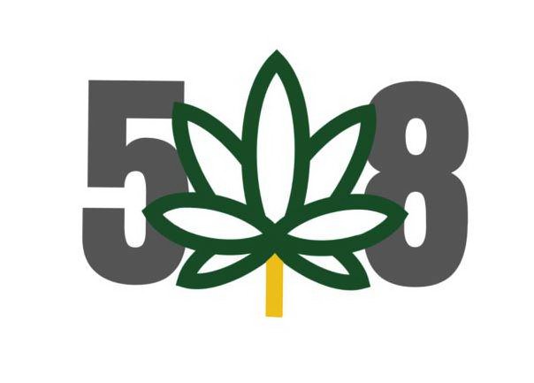 Trademark Logo 508