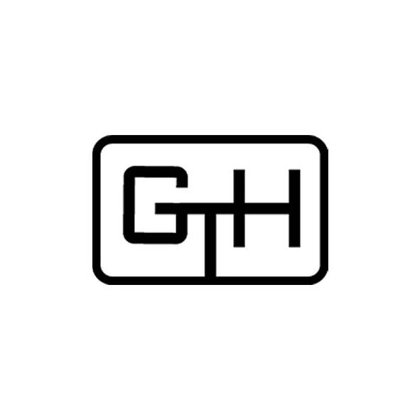 Trademark Logo GTH