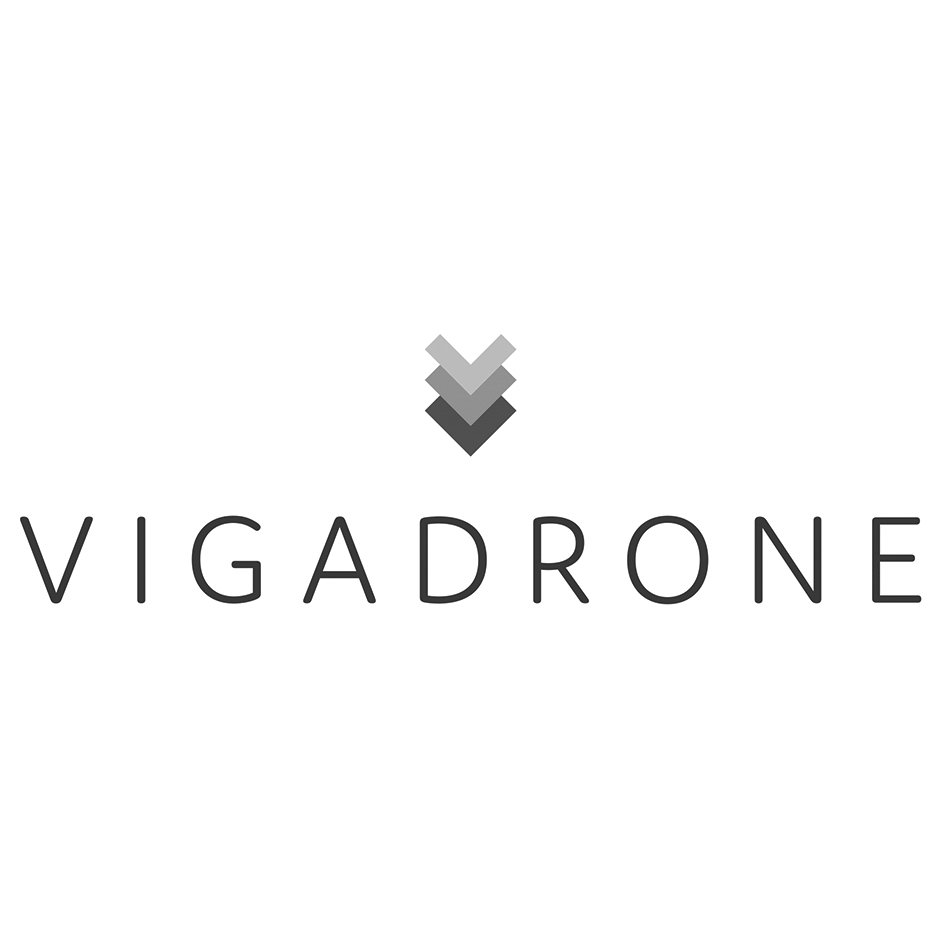 Trademark Logo VIGADRONE