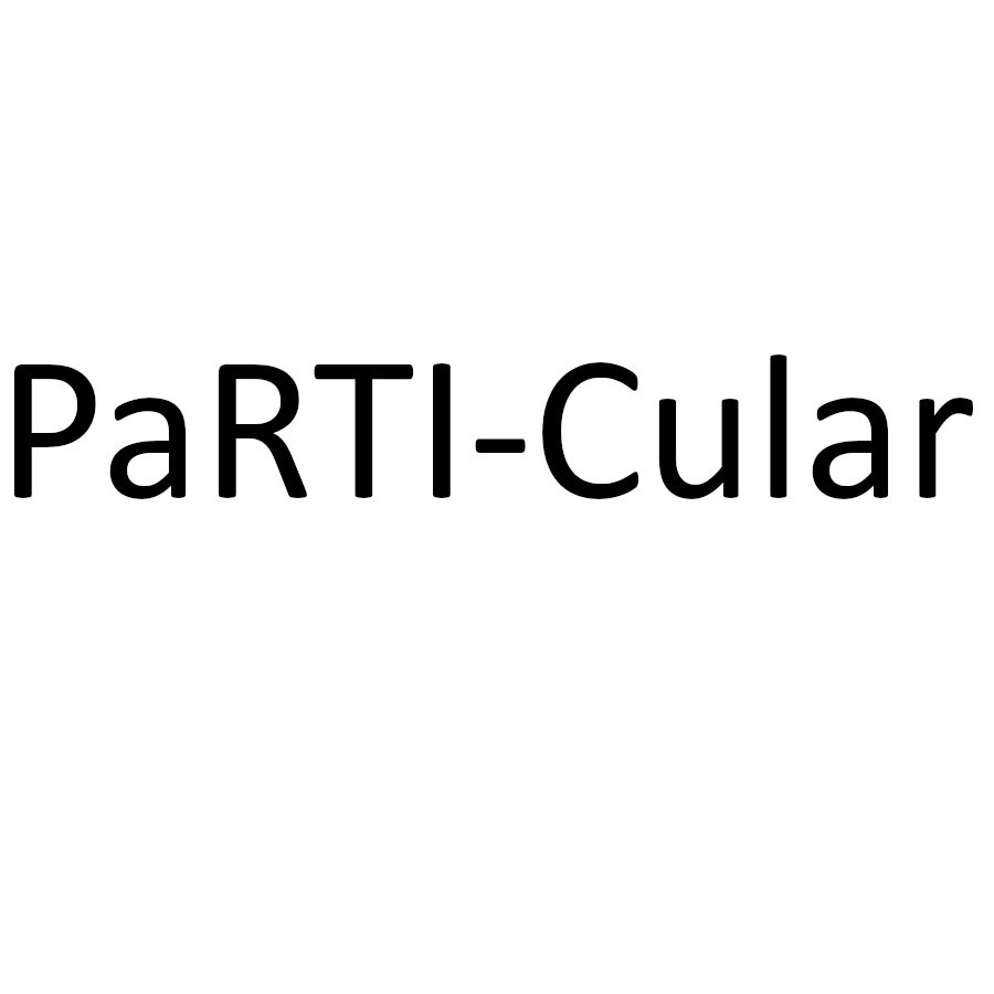  PARTI-CULAR