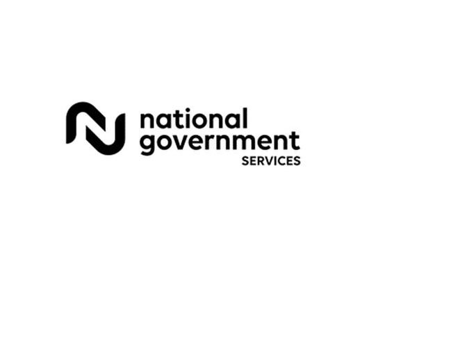  NATIONAL GOVERNMENT SERVICES