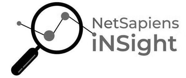  NETSAPIENS INSIGHT