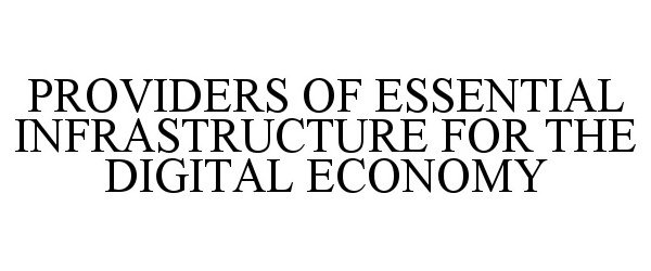  PROVIDERS OF ESSENTIAL INFRASTRUCTURE FOR THE DIGITAL ECONOMY