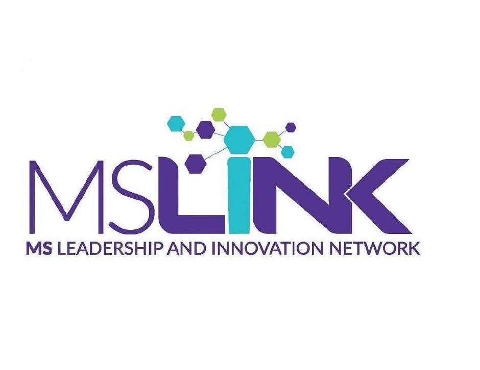  MSLINK AND MS LEADERSHIP AND INNOVATION NETWORK