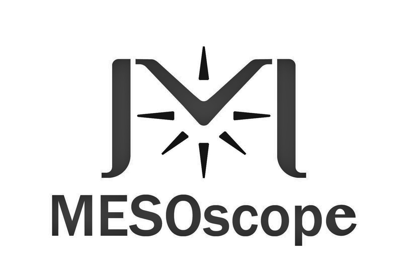 Trademark Logo MESOSCOPE