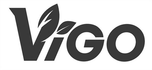 Trademark Logo VIGO