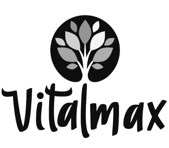 Trademark Logo VITALMAX