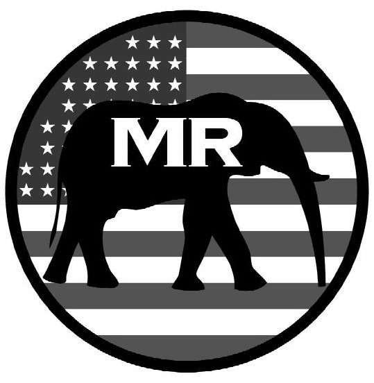 Trademark Logo MR