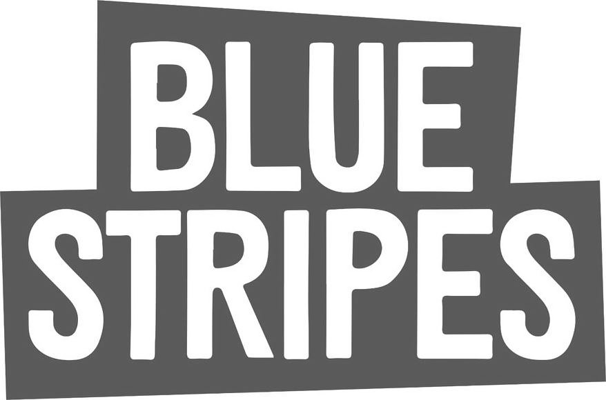 Trademark Logo BLUE STRIPES
