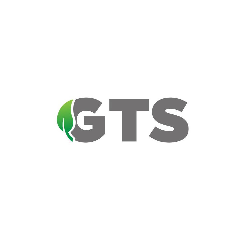 Trademark Logo GTS