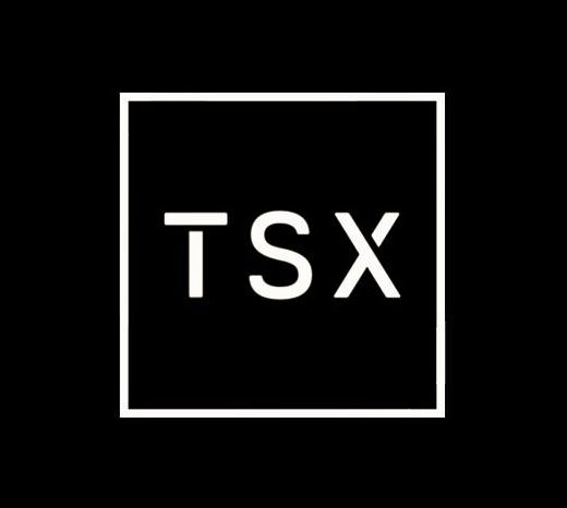 Trademark Logo TSX