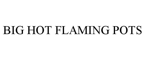 Trademark Logo BIG HOT FLAMING POTS