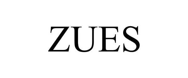  ZUES