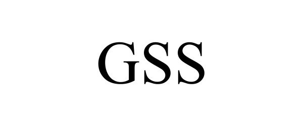  GSS