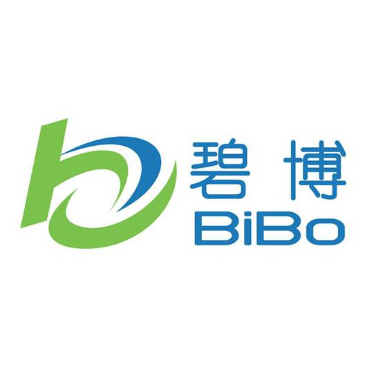  B BIBO