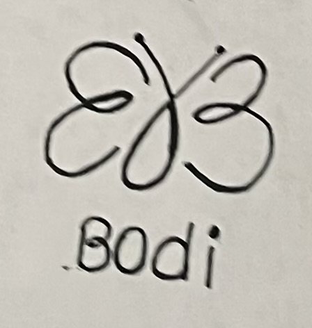 Trademark Logo BODI