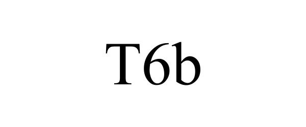  T6B