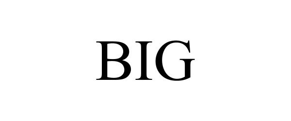 Trademark Logo BIG