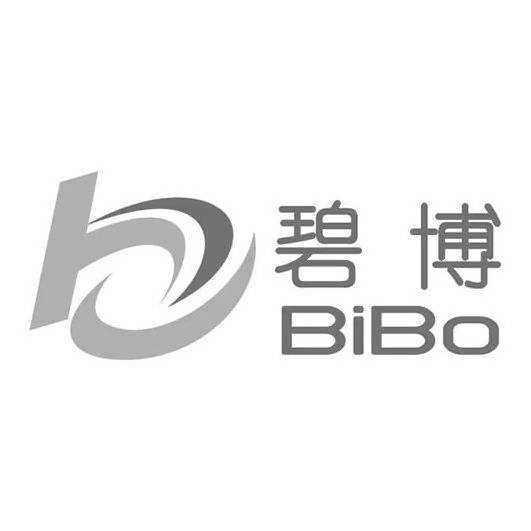  B BIBO