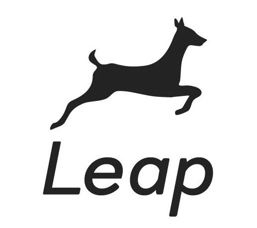 Trademark Logo LEAP