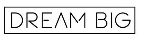 Trademark Logo DREAM BIG