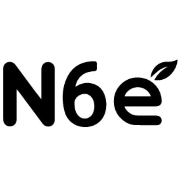 Trademark Logo N6E