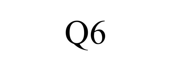 Trademark Logo Q6