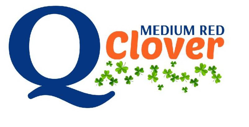  Q MEDIUM RED CLOVER