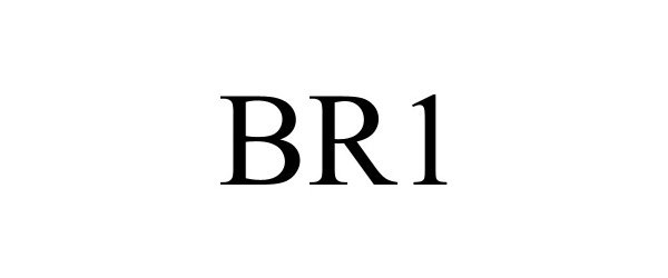 Trademark Logo BR1