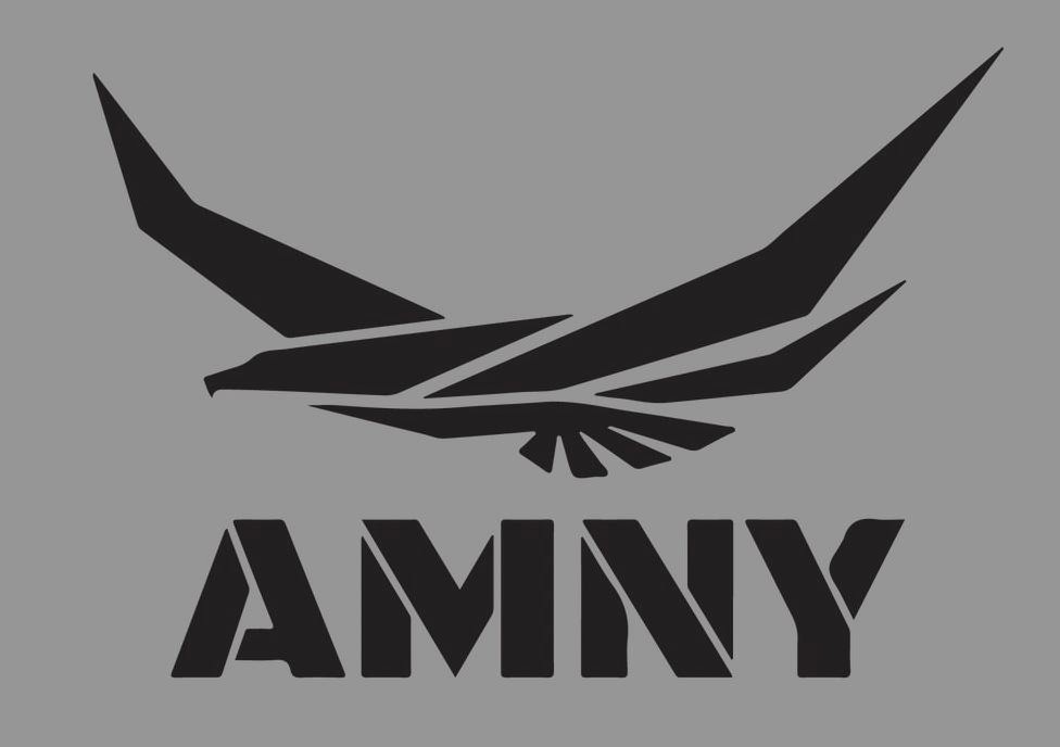 Trademark Logo AMNY