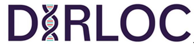 Trademark Logo DIRLOC